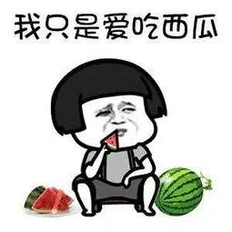 娱乐与吃瓜