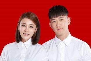 中国娱乐圈吃瓜明星小说